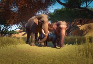 indian elephant