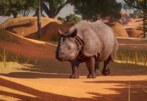 indian rhinoceros