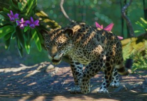 jaguar