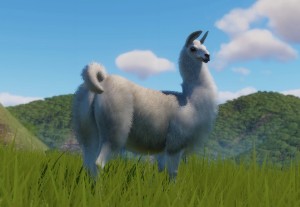 llama