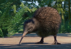 north island brown kiwi