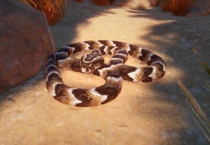 puff adder