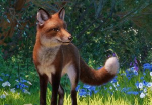 red fox