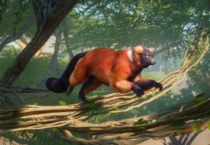 red ruffed lemur