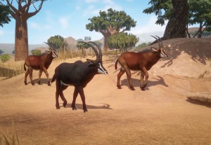 sable antelope