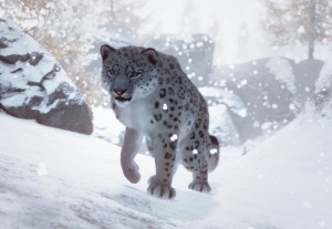 snow leopard
