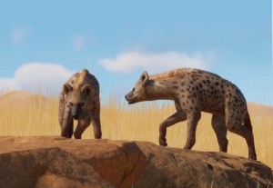 spotted hyena