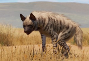 striped hyena