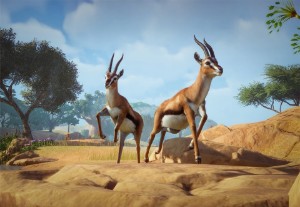 thomson's gazelle
