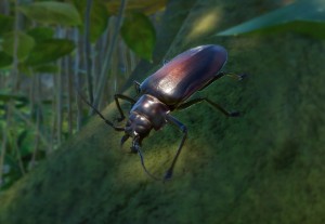 titan beetle