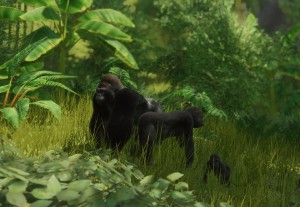 western lowland gorilla