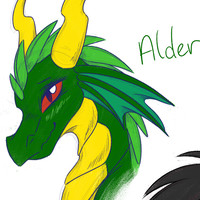 Alder