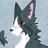 Burnetfur