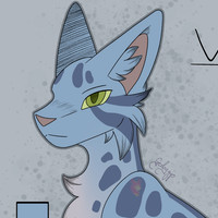 Valleymask
