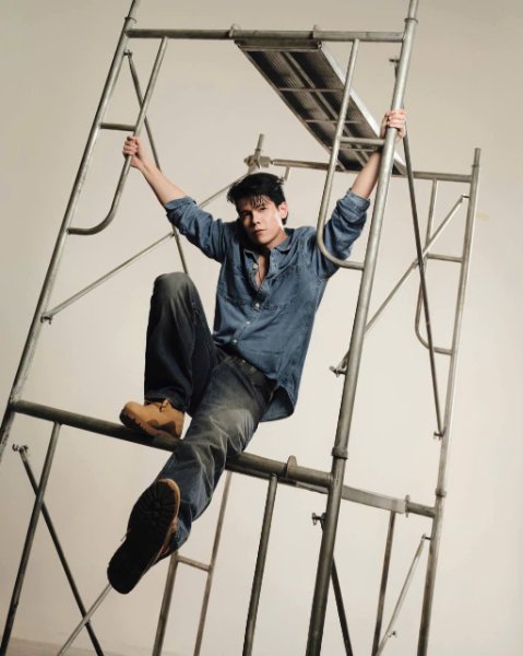 thỏ levi công trường