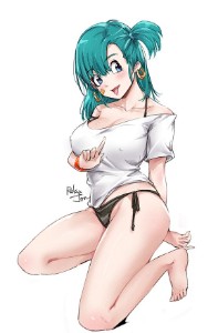 Bulma Briefs