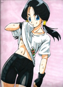 Videl