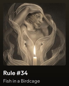 Rule #34