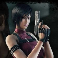 operation raccoon city