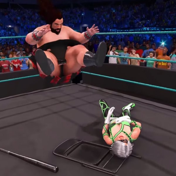 Bears vs Squid Sisters | CTYSM