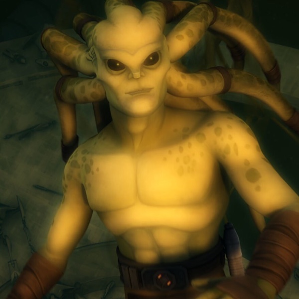 Kit Fisto