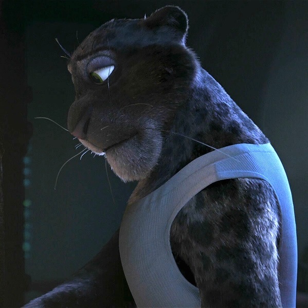 Renato Manchas