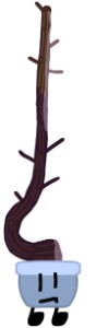 Scott