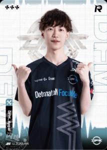 DFM_Appai