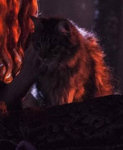 ser pounce (tommen)