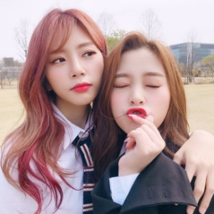 Gahji (Jiu + Seoyul)