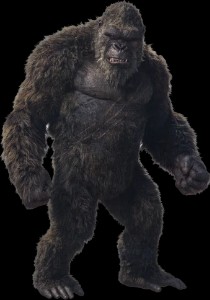 Kong