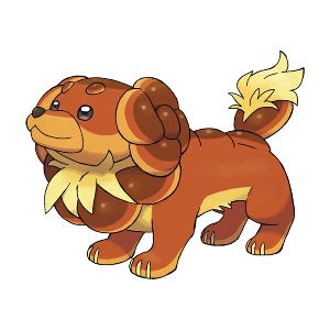 Dachsbun