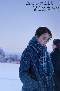 moonlit winter