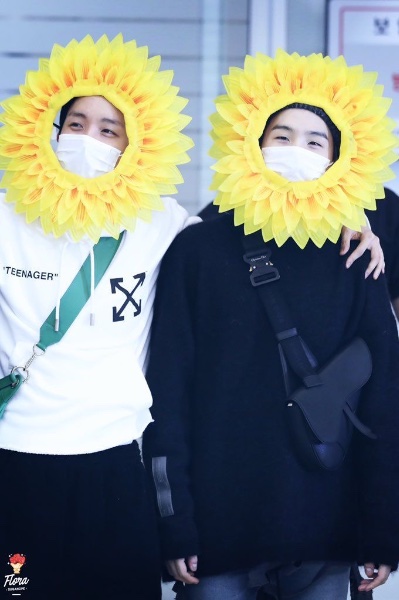 sunflowers sope