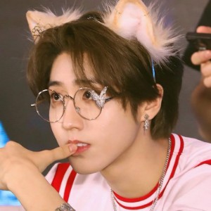 ʕ。•ﻌ•。ʔ