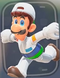 Luigi Mechanic