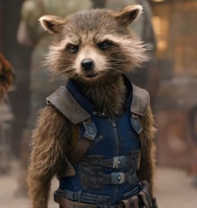 rocket raccoon
