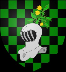 House Broom