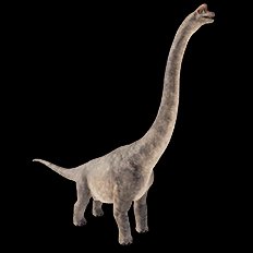 Brachiosaurus
