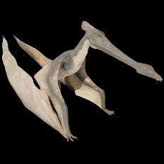 Cearadactylus