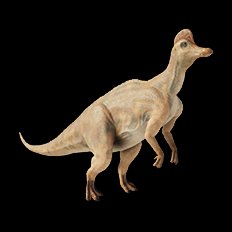 Corythosaurus