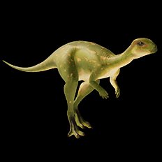 Drypsaurus
