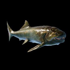 Dunkleosteus