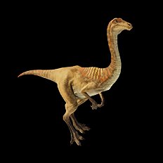 Gallimimus