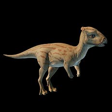 Homalocephale
