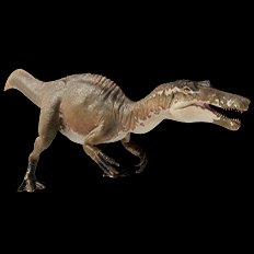 Irritator