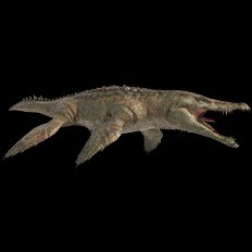 Liopleurodon