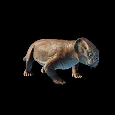 Lystrosaurus