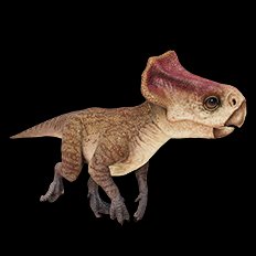 Microceratus