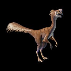 Ovitaptor
